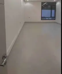 الفنيطيس