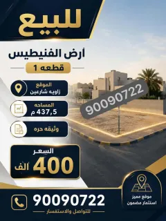 أرض للبيع في الفنيطيس