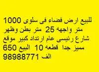 Land For Sale in Salwa